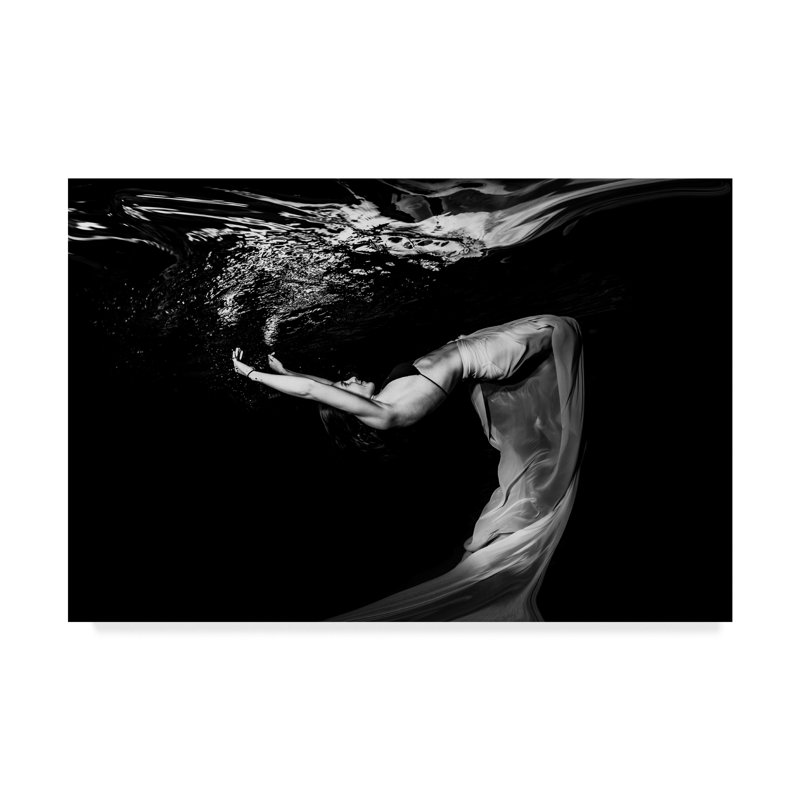 « flow water », reproduction de photo sur toile tendue, H 16 po x l 24 po x P 2 po