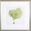 Sea Fan VIII Print by Vision