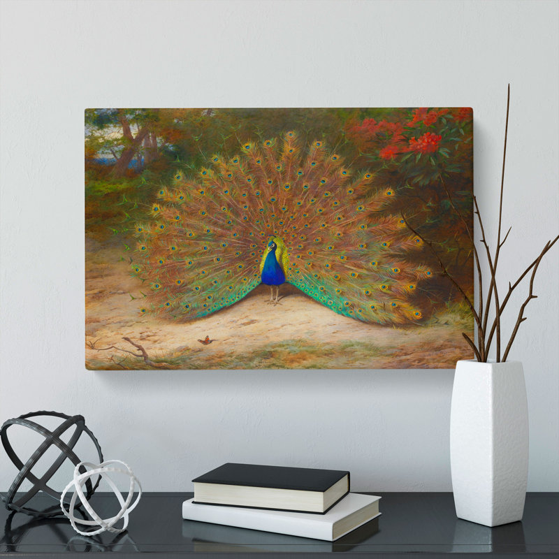 Peacock by Archibald Thorburn - Wrapped Canvas, 35cm H x 50cm W x 3cm D