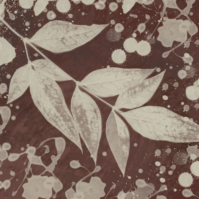 Botany Expressions III by Irena Orlov - Wrapped Canvas Painting, 51cm H x 51cm W