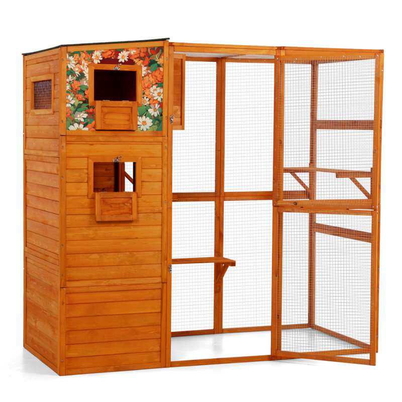 Chat d'extérieur de 70 po de hauteur, 4 conceptions avec fenêtres en filet, 2 salles de repos, plateformes, abri, motifs colorés oranges pour animaux de compagnie