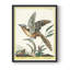 «Pastel Birds IV», reproduction encadrée - bois massif-198858884-198858885
