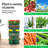 5 Tier Vertical Gardening Stackable Planter-237734275-251043145
