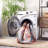 Riviera Performance Machine Washable Oriental Rug-414596231