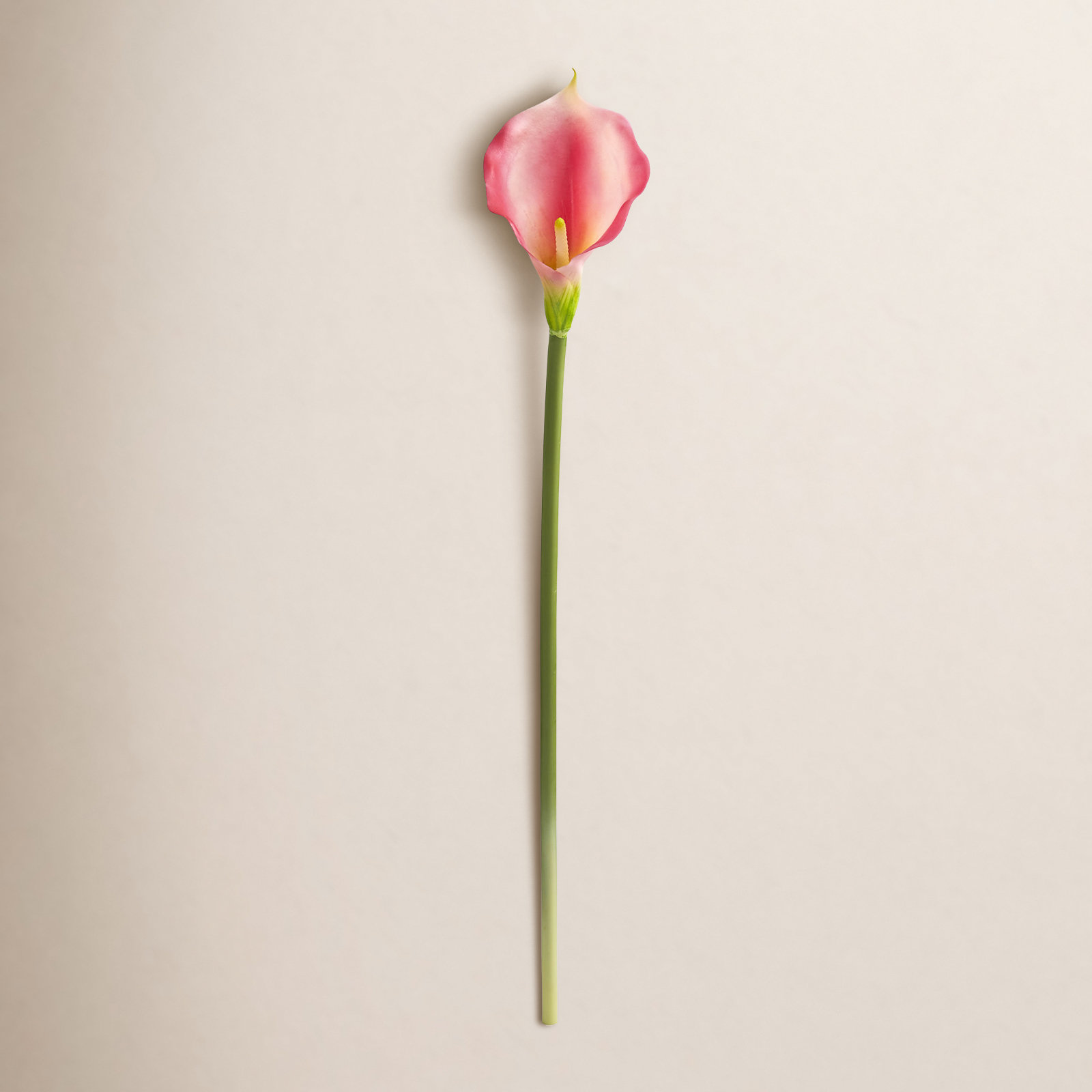 Calla Lilies Arrangement, Pink