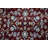 Performance Oriental Indoor Rug