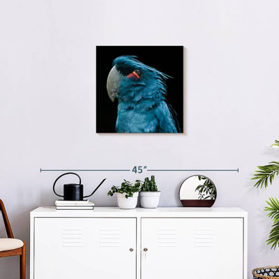 Brampt Blue Bird Portrait