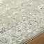 Tapis d'intérieur tissé à la machine Rushton-308620542