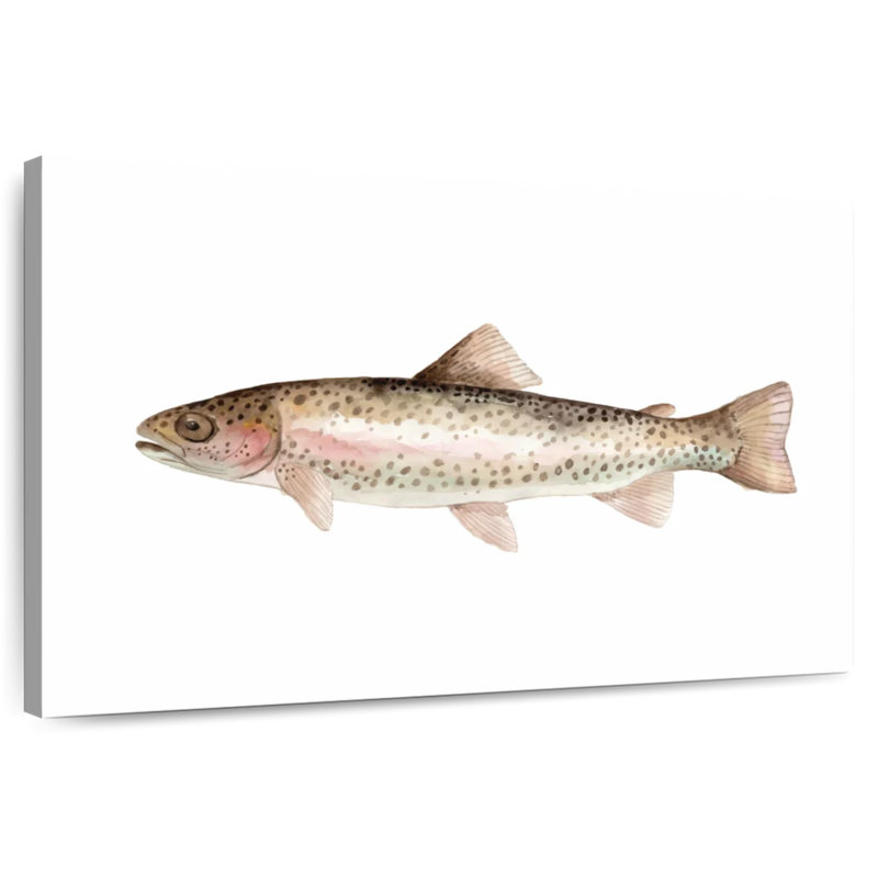 Rainbow Trout, 24" H x 36" W
