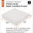 Pina Outdoor Lounge Chair Chair Pad-1055956956