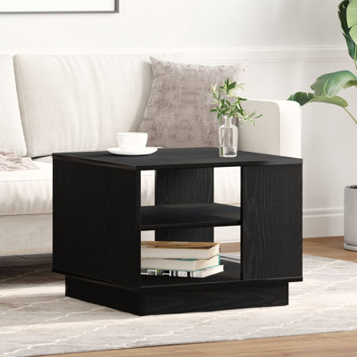Coffee Table with Storage