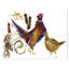 « faisan oiseau illustration », peinture-29496766-34270898