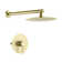 Pressure-Balanced Complete Shower System with Rough in-Valve