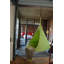 Hamac suspendu Cacoon Pod Vivere Saffo-25229398-25229399
