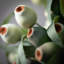 Arrangement de baies