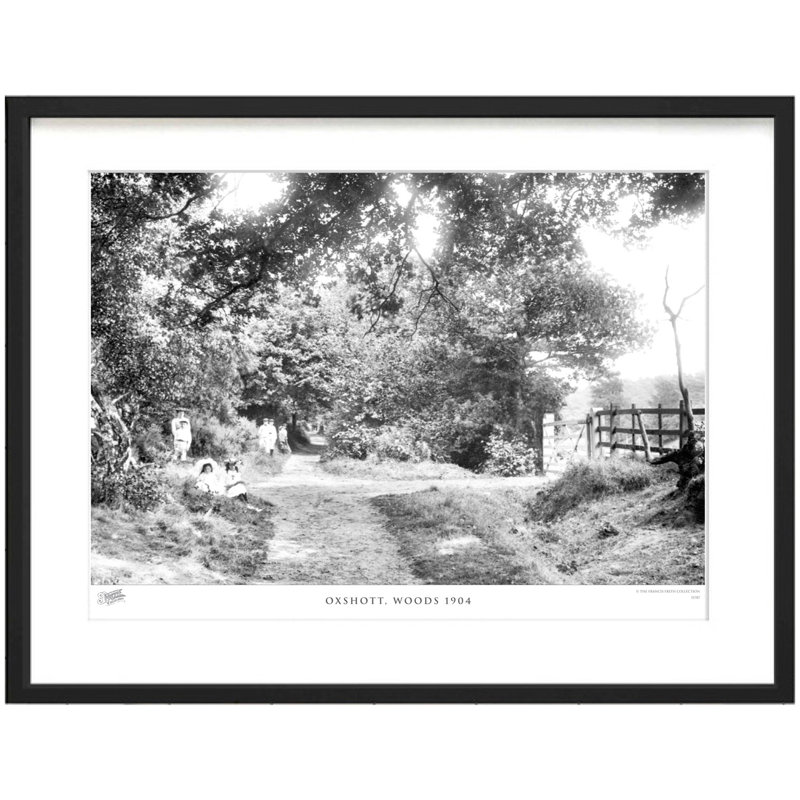 Oxshott, Woods 1904 by Francis Frith - Single Picture Frame Print, 45cm H x 60cm W x 2.3cm D