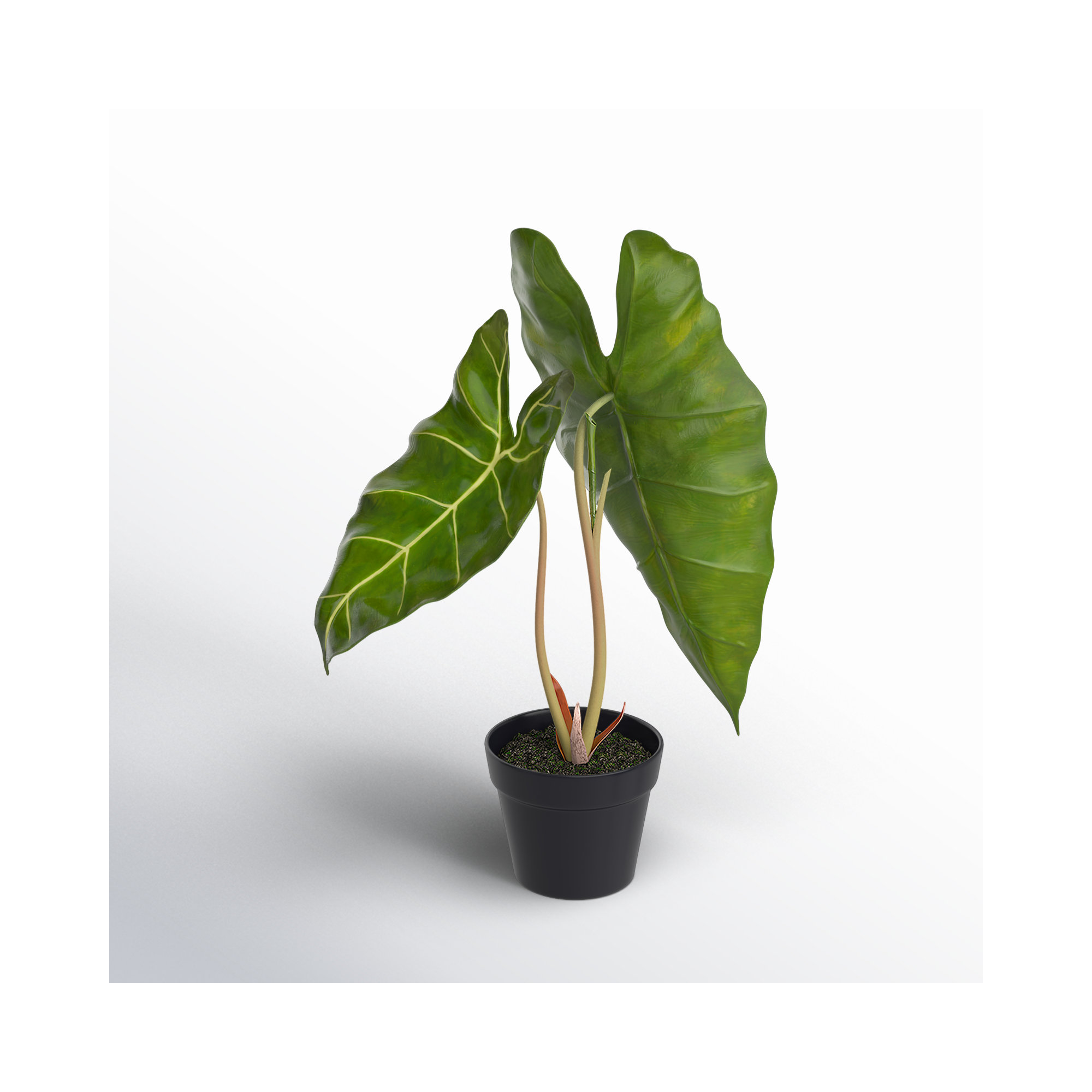 24'' Faux Alocasia Plant in Pot