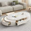 Coffee Table with Storage