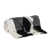 Black/White Striped