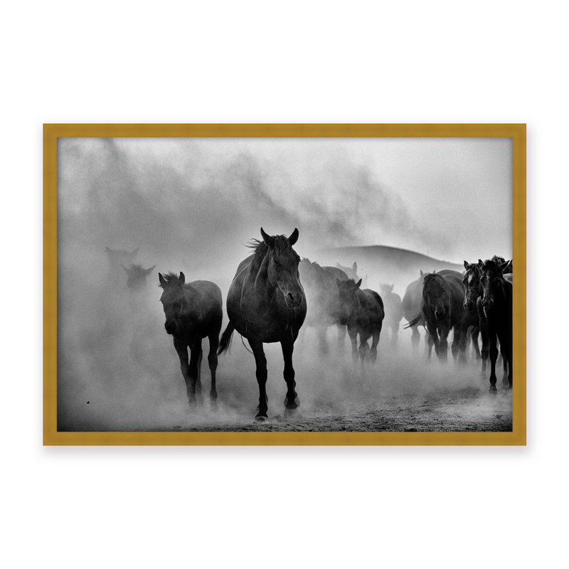 Nature Inspired Untitled by  - Picture Frame Photograph on Paper, Framed Canvas, 16" H x 24" W x 2.375" D, White
