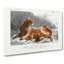 African Lion with Cubs - Wrapped Canvas-55368616