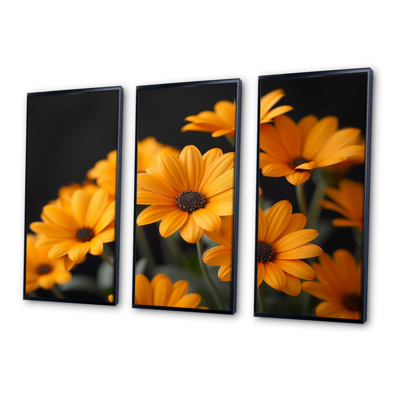 Monochromes jaunes et noirs, soufflage II - marguerites, ensemble d'art mural, H 28 po x l 36 po x P 1 po