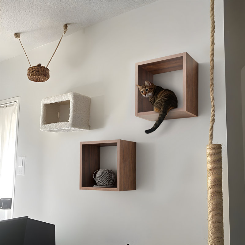 Wall Mount Cube Shelf Set Of 2, Floating Cube Shelves For Space Discovery, Square—7.9" D x 12.6" W, Dark Walnut