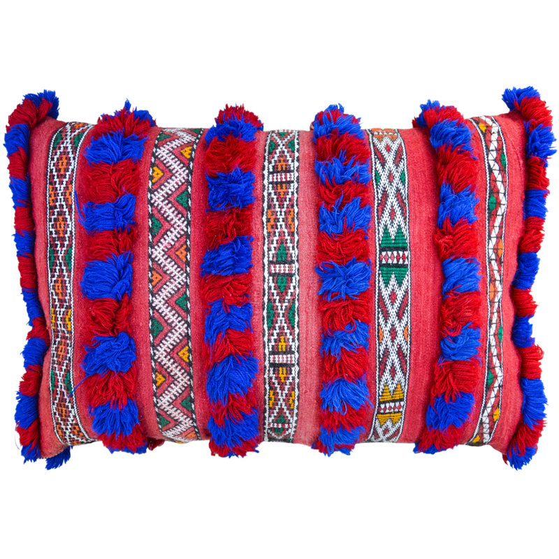 Fringed Reversible Throw Pillow