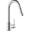 Peerless Pull Down Kitchen Faucet