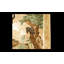 Bartold 70cm X 135cm Area Rug