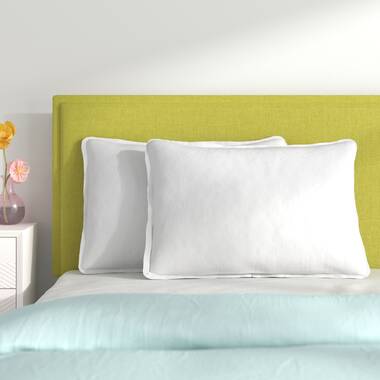 Wayfair Sleep™ Polyester Plush Pillow