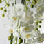 Real Touch Artificial Orchids Plastic, Silk Artificial Arrangement in Planter-107236912-88685008