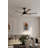 Soarin 56" 5CCT LED Smart Ceiling Fan-124315640-124315639