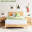 Matelas Queen de 20 cm d'épaisseur, fermeté moyenne, ressorts indépendants, respirant, soutien des bords, chambre à coucher