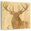 Bois d'or Brampt I