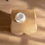 Table basse Modestia-1169152373