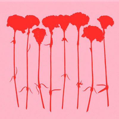 «Carnations 3» par Garima Dhawan - reproduction
