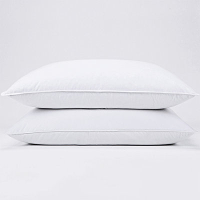 Erasmo Polyester/Polyfill Medium Support Pillow