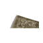 Chantel Oriental Area Rug in Ivory