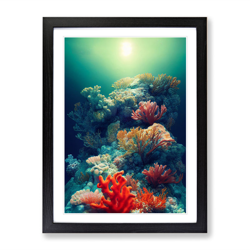 Sensational Coral Reef - Framed Print, Black, 46cm H x 34cm W x 2cm D