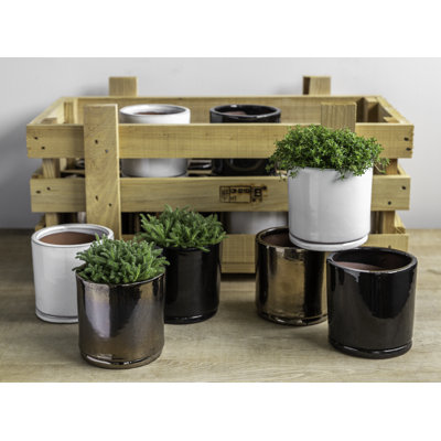 Ensemble de pot de fleurs 16 pièces Small Cylinder