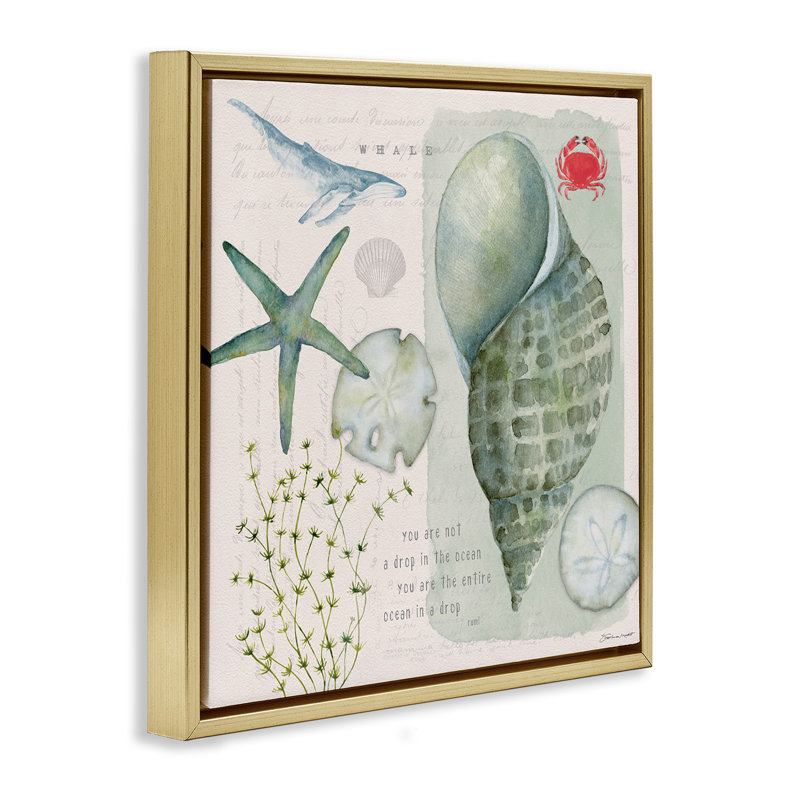 Collage inspirant des coquillages, H 18 po x l 18 po, Cadre flottant métallique doré