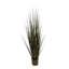 Herbe dans un pot 47 po-1447936395