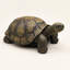 Statue de tortue de jardin