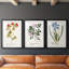 Nature imprimé Botanicals vii - impression sur mesure encadrée de qualité supérieure - 3 pièces-728451892-728451894