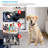 Dog Bark Collar
