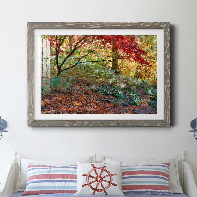 Secret Garden par J Paul - reproduction de photo sur papier encadrée, H 23,5 po x l 31,5 po x P 1,5 po, Gris
