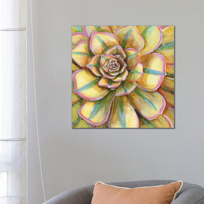 Yellow Striped Succulent 1 Piece Wall Art on Canvas