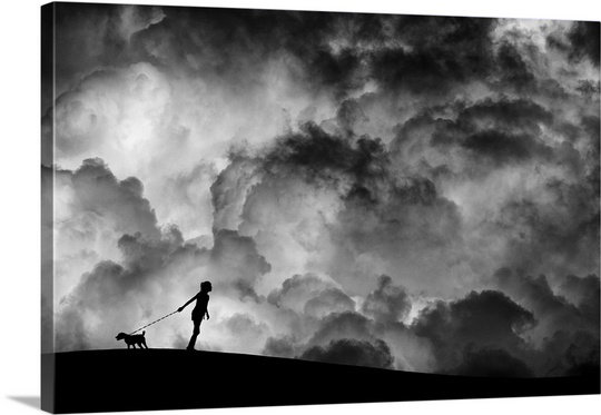 « prelude to the rêve » par hengki lee, reproduction de photo sur toile, H 16 po x l 24 po x P 1,25 po