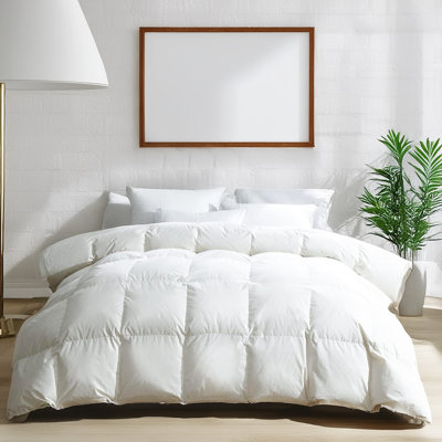 Édredon en duvet d'oie blanche hongrois avec coquillage en coton 700T